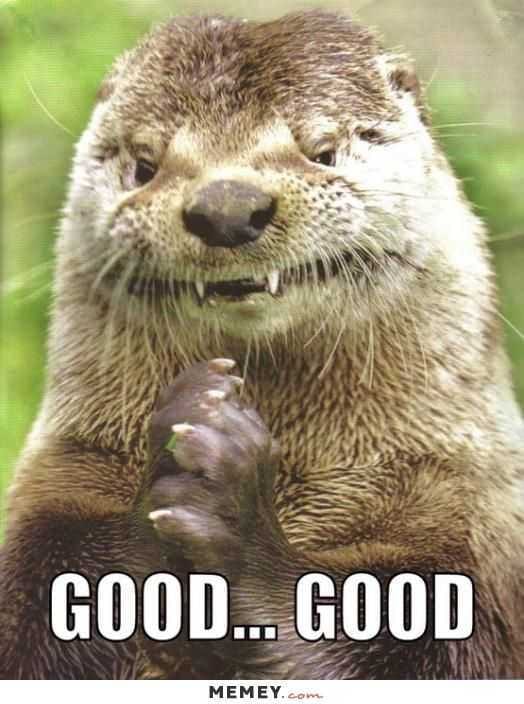 Funny Otter Good