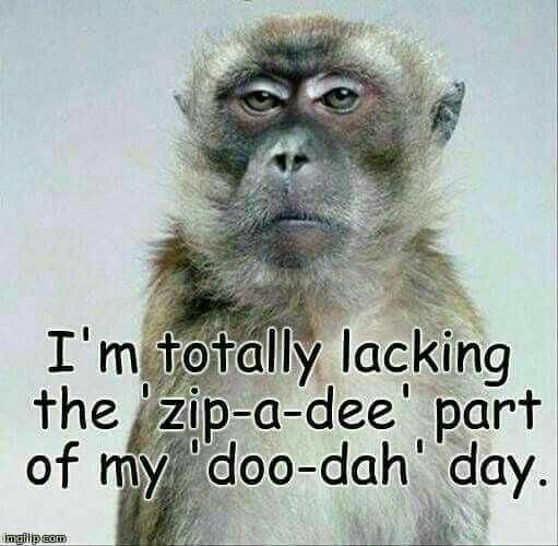 Funny Zip