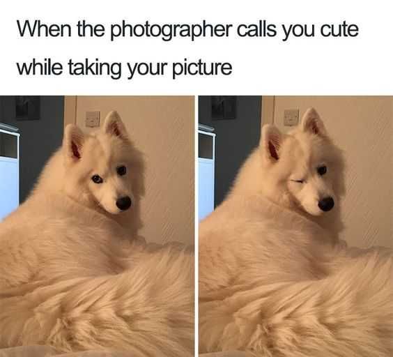 Meme Callsyouquote