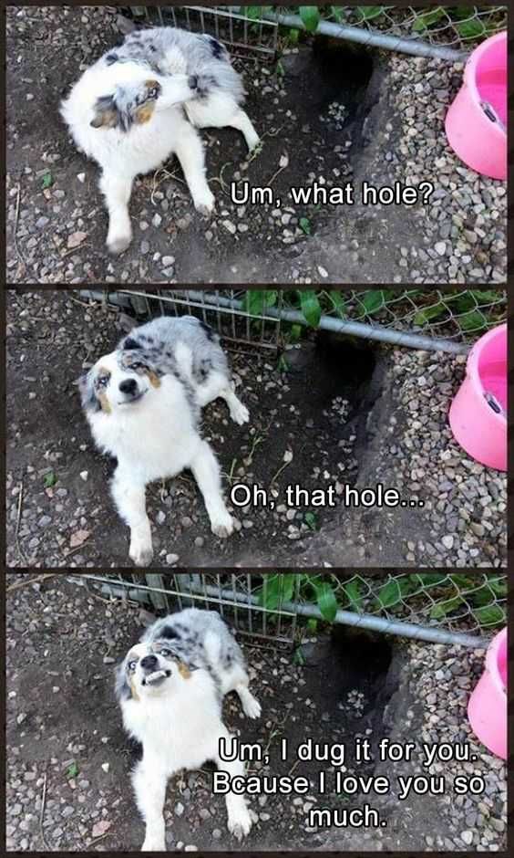 Meme Dughole