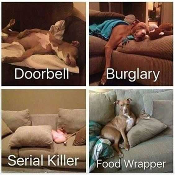 Meme Foodwrapper