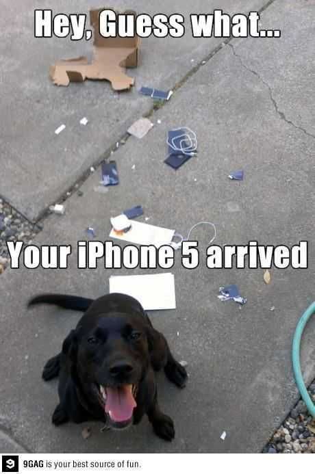 Meme Iphonearrived
