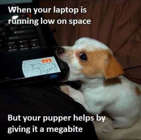 Meme Megabite