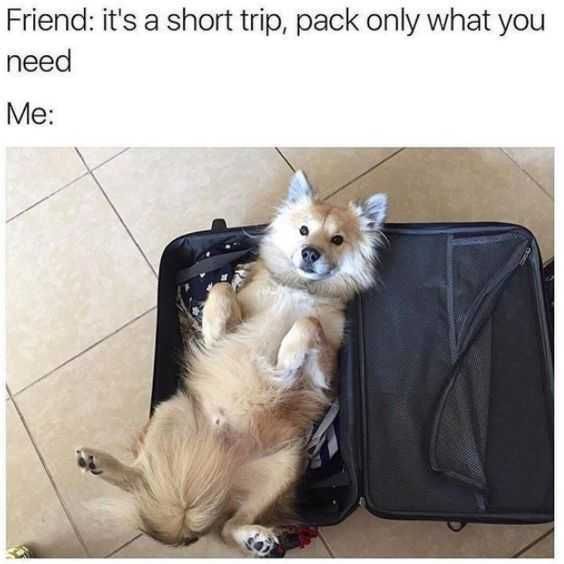 Meme Packdog