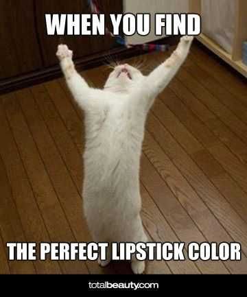 Meme Perfectlipcolor