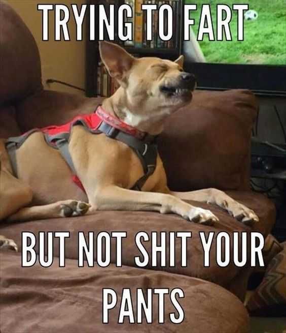 Meme Tryingtofart