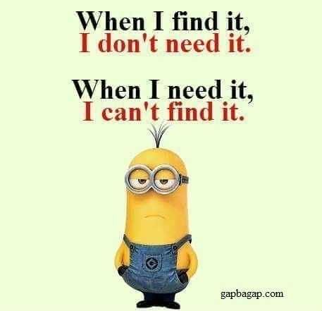 Minion Cantfindit