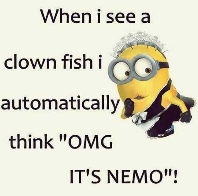 Minion Itsneo