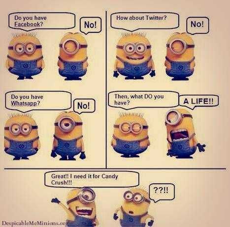 Minion Needalife