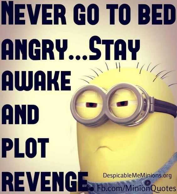 Minion Plotrevenge