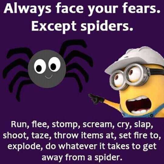 Minion Spiders