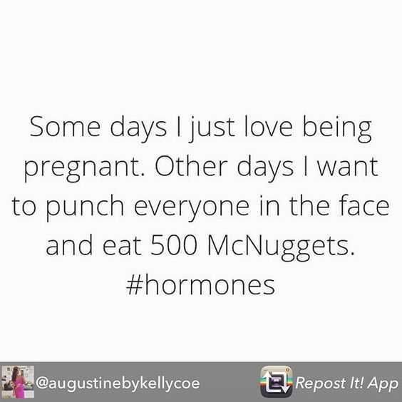 Pregfunny 500Nuggets