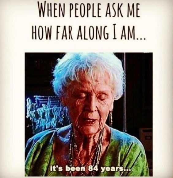 Pregfunny 84Years