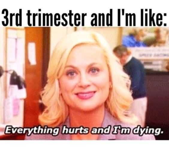 Pregfunny Everything