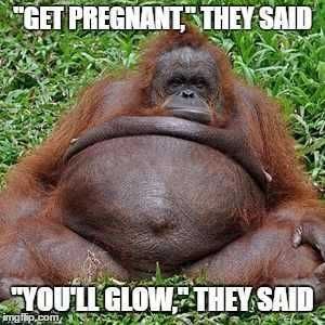 Pregfunny Getpregnant
