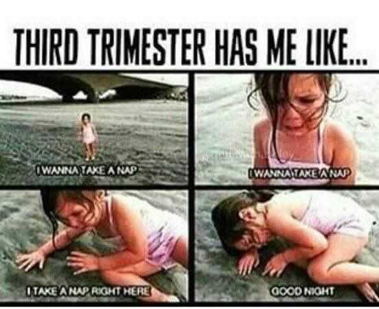 Pregfunny Naprighthere
