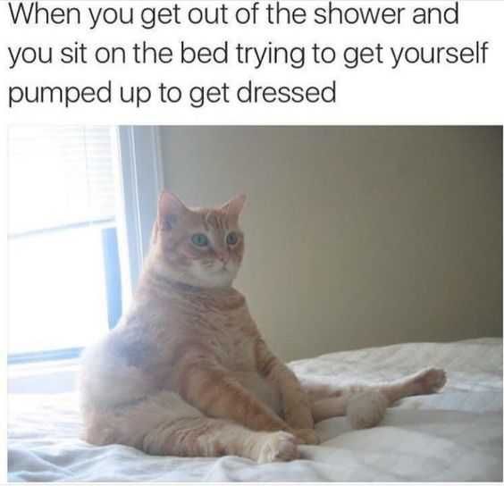 Pregfunny Pumpselfup