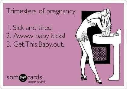 Pregfunny Stages