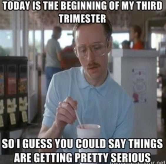 Pregfunny Trimester