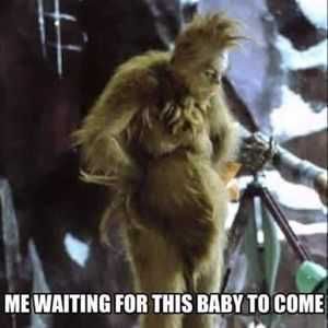 Pregfunny Waiting