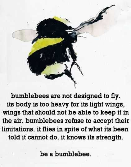 Quote Beefact