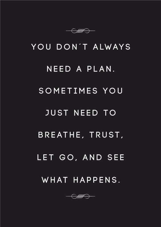Quote Youdontalwaysneedaplan