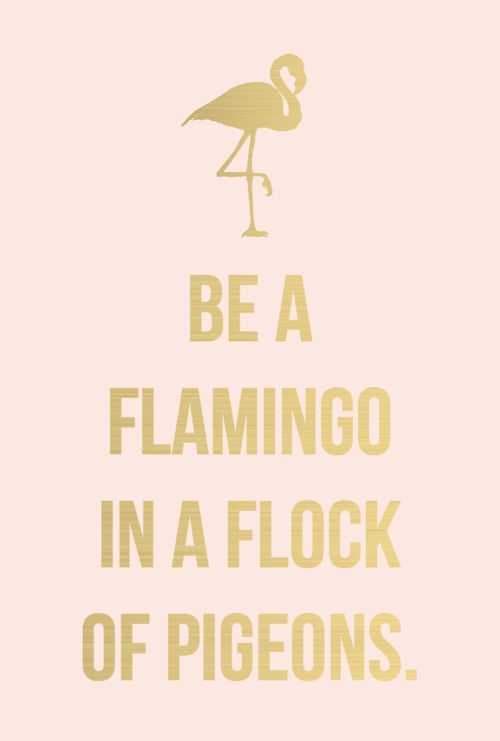 Xquote Beflamingo
