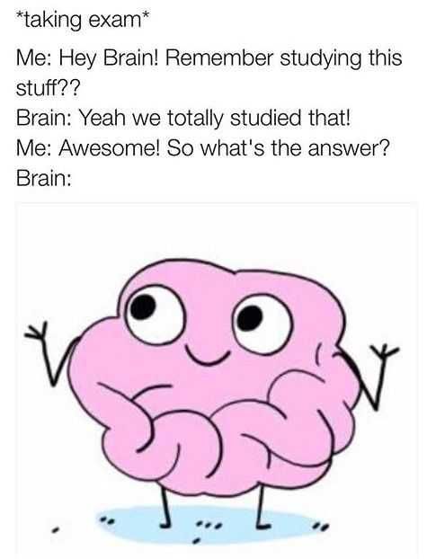 Finals Remember Brain