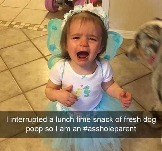 Funny Interrupted Lunch
