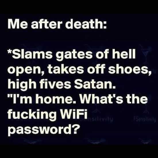 Funny Meinhell
