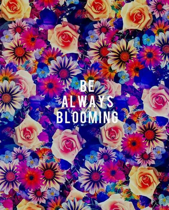 Quote About Blooming
