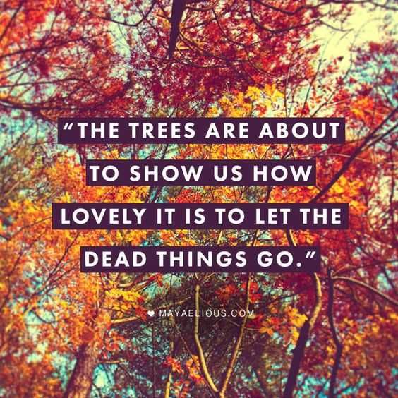 Quote Deadthingscando
