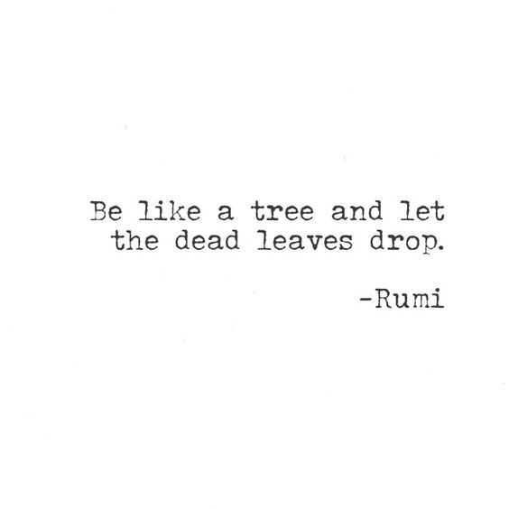 Quote Dropthedeadleaves