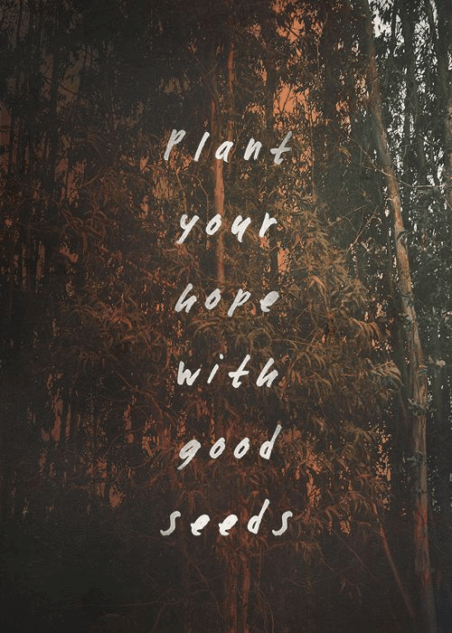 Quote About Life