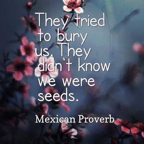 Quotes About Hates