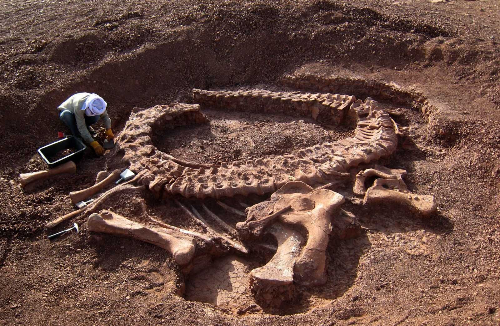 Spinophorosaurus Digsite