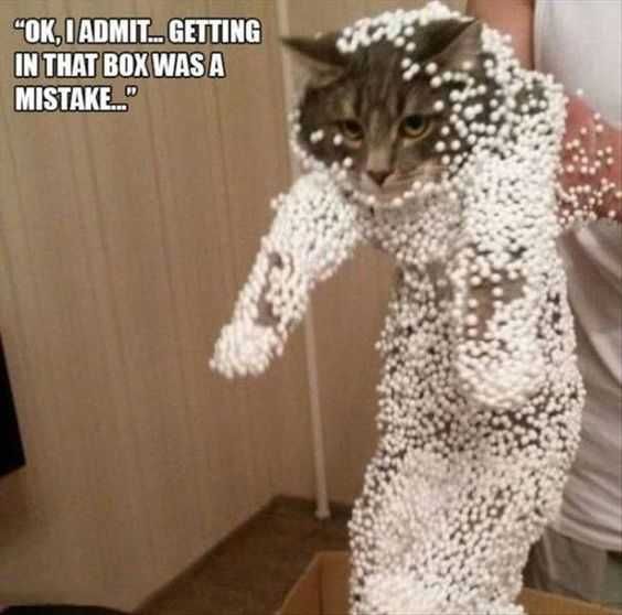 Cat Pellets