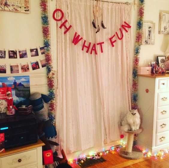 Funny Christmas Cat Pictures Oh What Fun