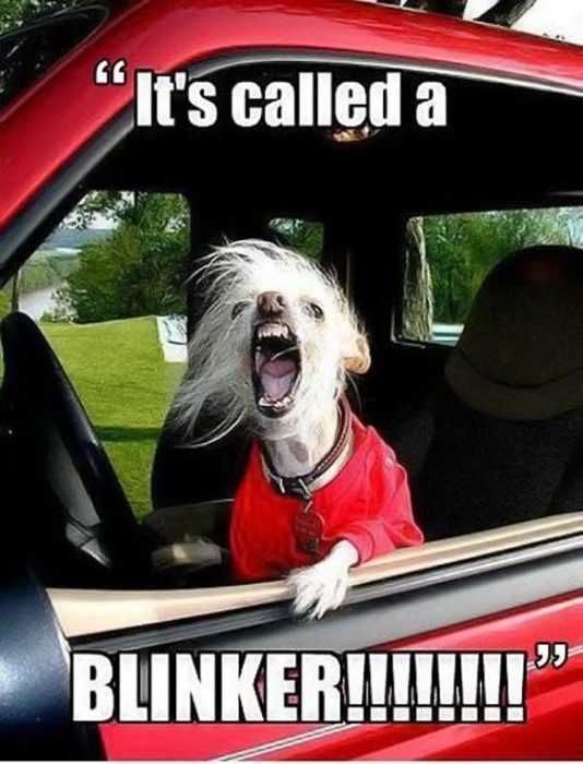 Funny Images Use It