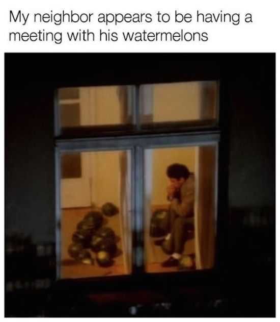 Funny Images Neighbor Problems