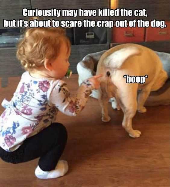 Funny Scared