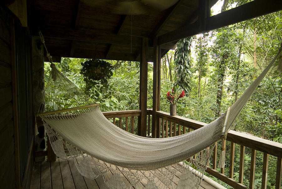 Hammock Hanging On A Porch Richard Nowitz