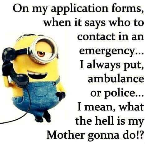 Minions Memes Clean Enough For Kids Emergency Contact