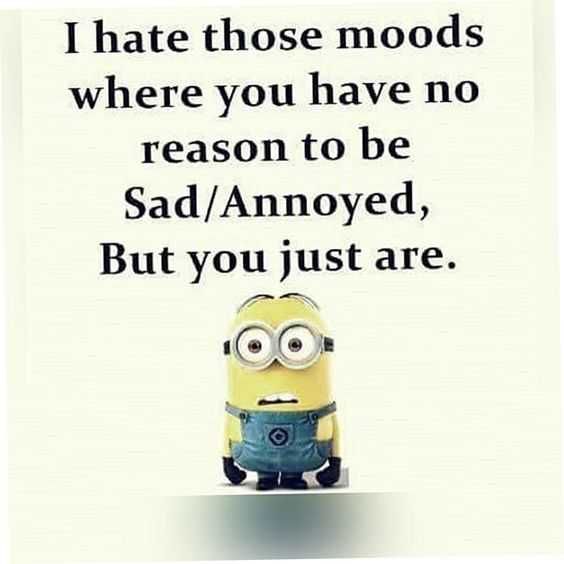 31 Funny Laughoutloud Minions Pictures No Reason To Be Sad Mood