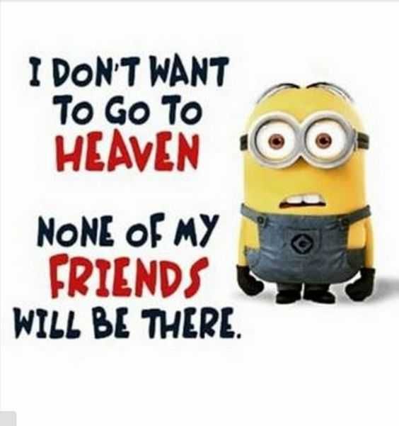 31 Funny Laughoutloud Minions Pictures No Friends In Heaven
