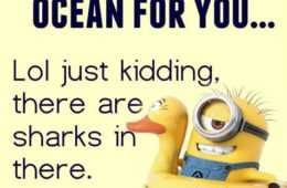 Minion Sharks Water