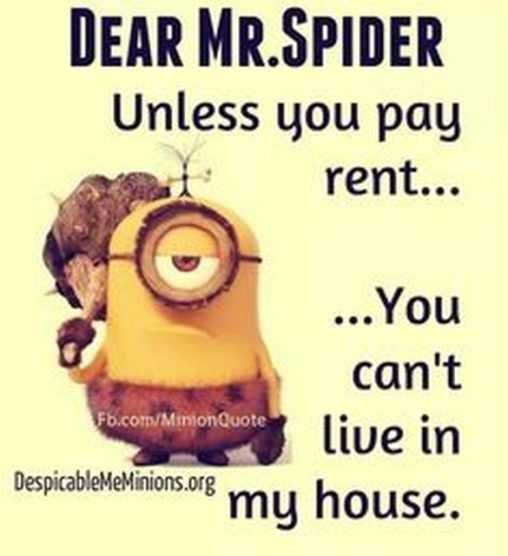 Minions Memes Clean Enough For Kids Freeloading Spiders