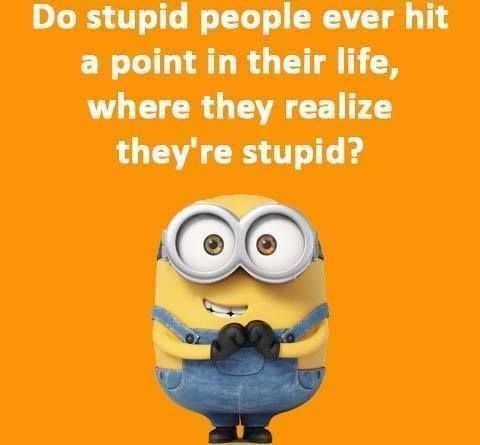 Minions Memes Clean Enough For Kids Stupidity