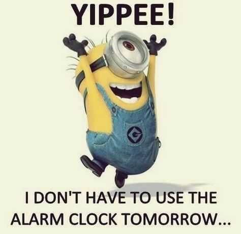 31 Funny Laughoutloud Minions Pictures No Alarm Clock Tomorrow