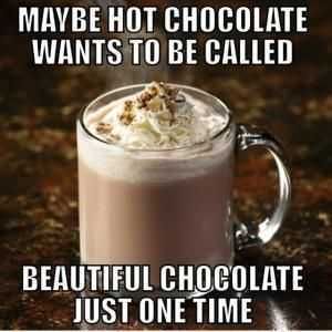 Funny Quotes For Foodlovers